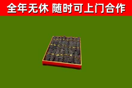 洞口回收海参